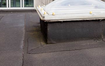 disadvantages of Thornton Steward flat roofs