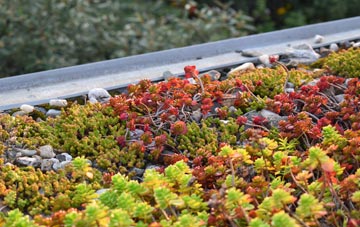 the cost of Thornton Steward green roof installation
