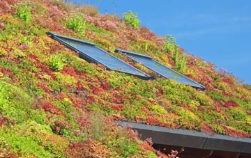Thornton Steward living roof systems