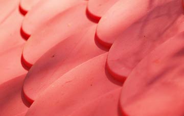 Thornton Steward plastic roof costs