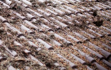 Thornton Steward roof cleaning companies