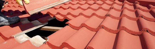 compare Thornton Steward roof repair quotes