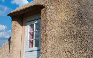 Thornton Steward thatch roof disadvantages