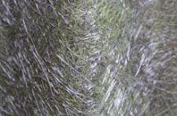 Thornton Steward fibreglass roof work